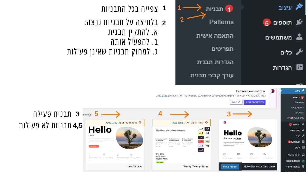 הגדרת תבנית הבסיס של האתר